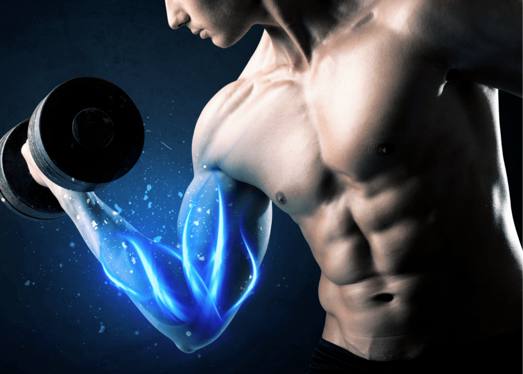 Muscle Memory: The Key to Recovering Lost Gains